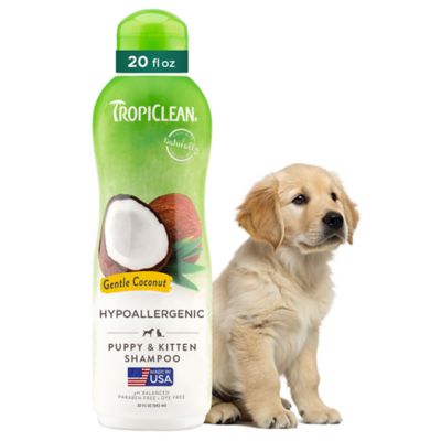 Image showing  Gentle Coconut Hypoallergenic Puppy & Kitten Shampoo, 20 oz.