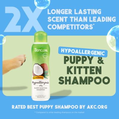 Image showing  Gentle Coconut Hypoallergenic Puppy & Kitten Shampoo, 20 oz.