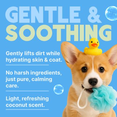Image showing 5 th TropiClean Gentle Coconut Hypoallergenic Puppy & Kitten Shampoo, 20 oz.