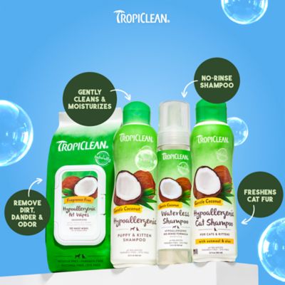 Image showing 9 th TropiClean Gentle Coconut Hypoallergenic Puppy & Kitten Shampoo, 20 oz.