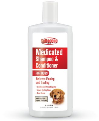 Image showing  Sulodene Medicated Shampoo, 12 oz.