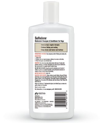 Image showing  Sulodene Medicated Shampoo, 12 oz.