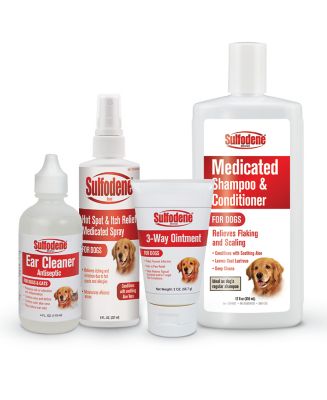 Image showing 6 th Sulfodene Sulodene Medicated Shampoo, 12 oz.