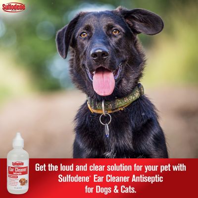 Image showing  Ear Cleaner Antiseptic for Dogs and Cats, 4 oz.