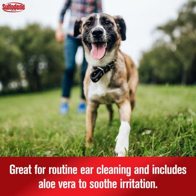 Image showing  Ear Cleaner Antiseptic for Dogs and Cats, 4 oz.