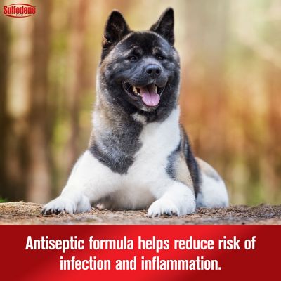 Image showing  Ear Cleaner Antiseptic for Dogs and Cats, 4 oz.