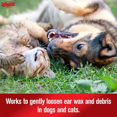 Image showing  Ear Cleaner Antiseptic for Dogs and Cats, 4 oz.