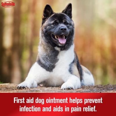 Sulfodene 3 Way Ointment For Dogs At Tractor Supply Co