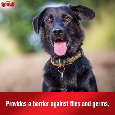 Image showing  3-Way Wound Treatment Dog Ointment, 2 oz.