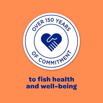 Image showing 7 th Kaytee Koi Fish Food, 10 lb.