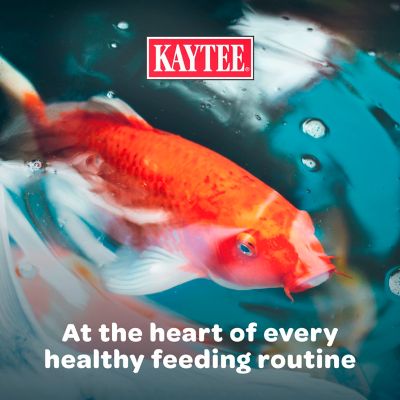 Image showing 8 th Kaytee Koi Fish Food, 10 lb.