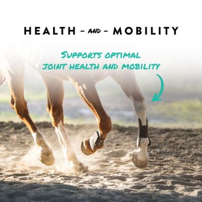 Image showing  Sho-Flex Joint Health Horse Supplement, 5 lb.