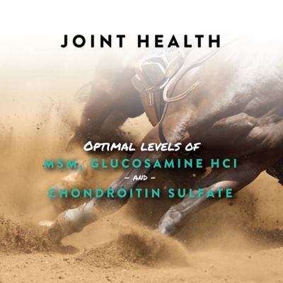 Image showing  Sho-Flex Joint Health Horse Supplement, 5 lb.