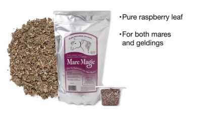 Image showing  Calming Horse Supplement, 8 oz.