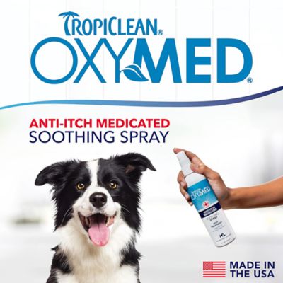 Image showing  OxyMed Medicated Anti itch Spray for Pets, 8oz