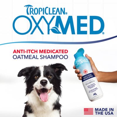 Image showing 7 th TropiClean Oxy-Med Shampoo 20 oz.