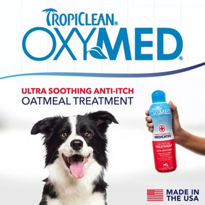 Image showing  OxyMed Medicated Anti-Itch Conditioning Treatment for Pets, 20oz