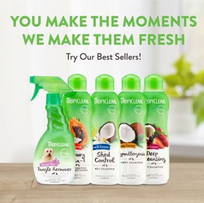 Image showing 7 th TropiClean Sweet Pea Tangle Remover Spray for Pets, 16oz