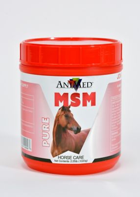 AniMed 2.25 lb. MSM Horse Antioxidant, 2.25 lb.