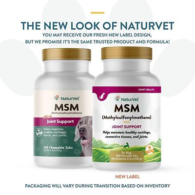 Image showing  MSM Joint Support Chewable Tablets for Dogs, 250 ct.