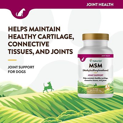 Image showing  MSM Joint Support Chewable Tablets for Dogs, 250 ct.