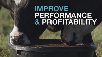 Image showing  Meat Maker 16:8 Goat Mineral