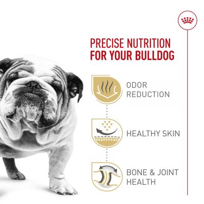 Image showing  Breed Health Nutrition Adult Bulldog Dry Dog Food
