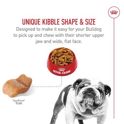 Image showing  Breed Health Nutrition Adult Bulldog Dry Dog Food