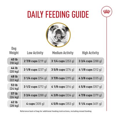 Image showing 5 th Royal Canin Breed Health Nutrition Adult Bulldog Dry Dog Food