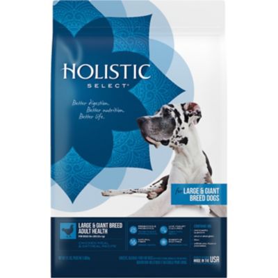 Holistic Select Large/Extra Large Breed Adult Digestion Support Natural Chicken and Oatmeal Formula Dry Dog Food