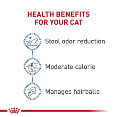 Image showing  Feline Health Nutrition Indoor Adult Dry Cat Food