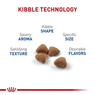 Image showing  Feline Health Nutrition Indoor Adult Dry Cat Food