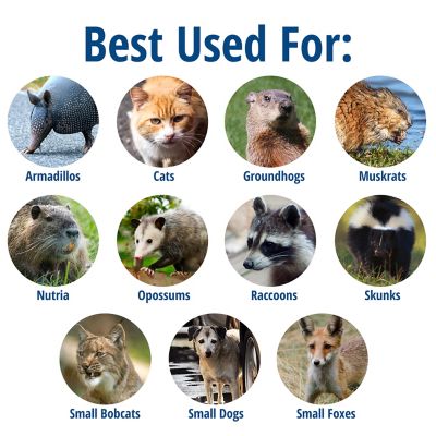 Image showing  2-Door Large Animal Trap