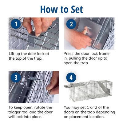 Image showing  2-Door Large Animal Trap