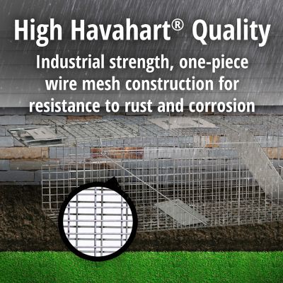 Image showing 6 th Havahart 2-Door Large Animal Trap