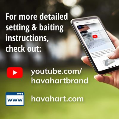 Image showing 8 th Havahart 2-Door Large Animal Trap