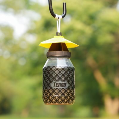 Image showing  Poison-Free Reusable Yellow Jacket and Flying Insect Trap