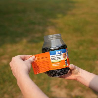Image showing  Poison-Free Reusable Yellow Jacket and Flying Insect Trap