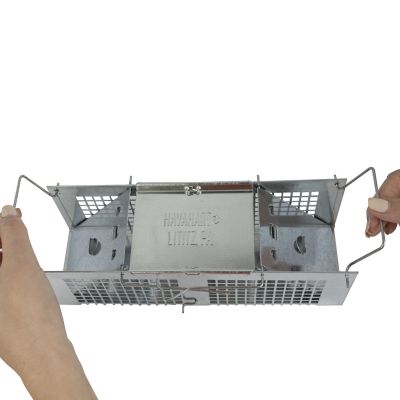 Image showing  2-Door X-Small Small Animal Trap