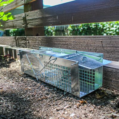Havahart 2-Door X-Small Small Animal Trap at Tractor Supply Co.
