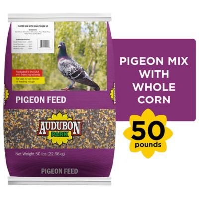 Audubon Park Pigeon Feed With Whole Corn At Tractor Supply Co