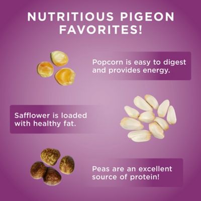 Image showing  Premium Pigeon Feed with Popcorn Bag