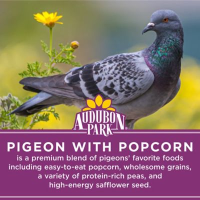 Image showing  Premium Pigeon Feed with Popcorn Bag
