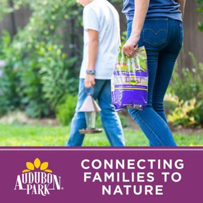 Image showing 5 th Audubon Park Premium Pigeon Feed with Popcorn Bag
