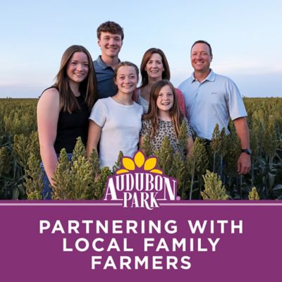 Image showing 6 th Audubon Park Premium Pigeon Feed with Popcorn Bag