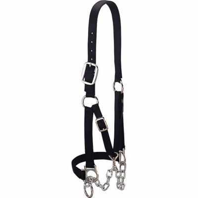 Weaver Livestock Nylon Heavy-Duty Restraint Cattle Halter
