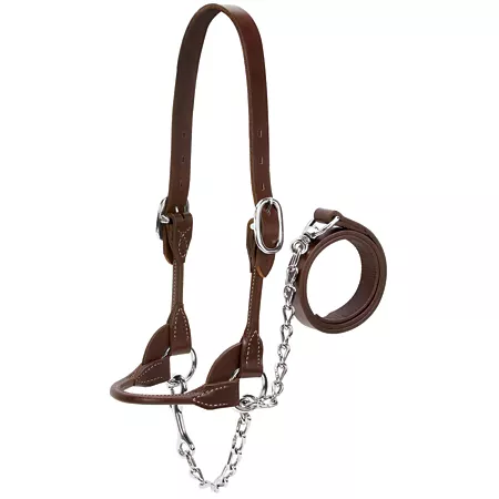 Weaver Leather Rounded Dairy/Beef Halter Large Brown Livestock Ropes Halters & Hobbles