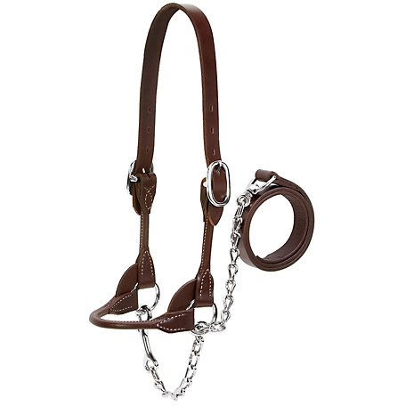 Weaver Leather Dairy/Beef Rounded Show Halter, Large, Brown