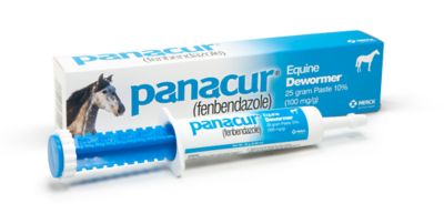 Merck Panacur Equine Dewormer Paste, 25g