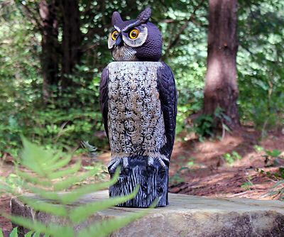 Image showing  18 in. Rotating Head Owl Animal Repeller